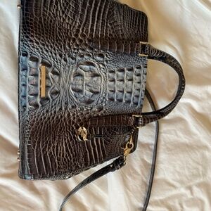 BRAHMIN small Finley